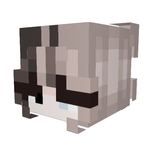 Telerinchen Minecraft avatar head, 3D render