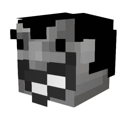 TeletoonDetour Minecraft avatar head, 3D render