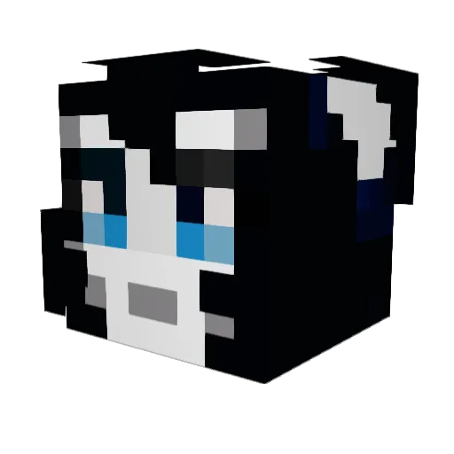 TelevisedDog7 Minecraft avatar head, 3D render