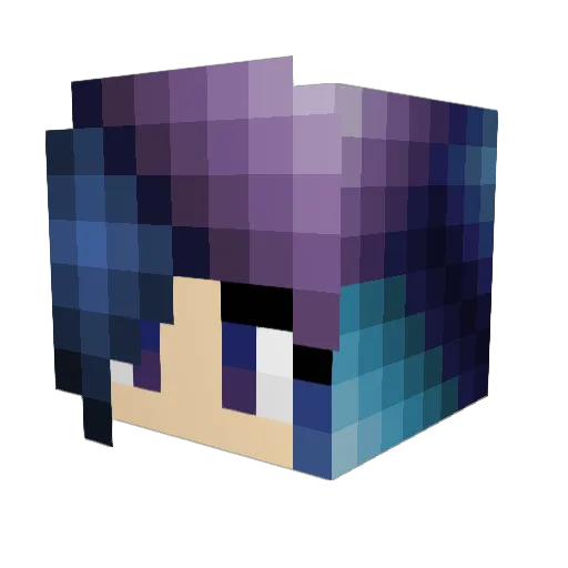 Telicitas Minecraft avatar head, 3D render