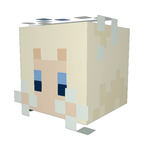 Telidaki Minecraft avatar head, 3D render