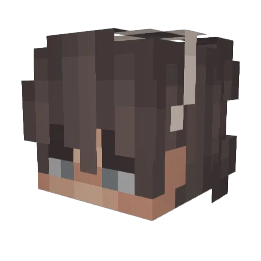 TelixDan Minecraft avatar head, 3D render