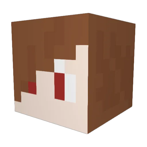 Tell_ARK Minecraft avatar head, 3D render