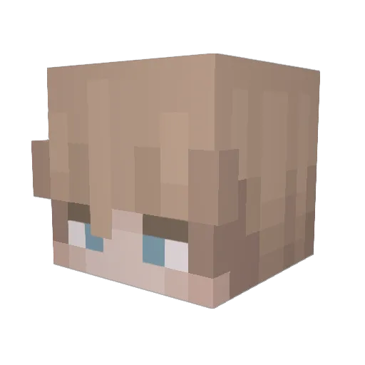 Tellem711 Minecraft avatar head, 3D render