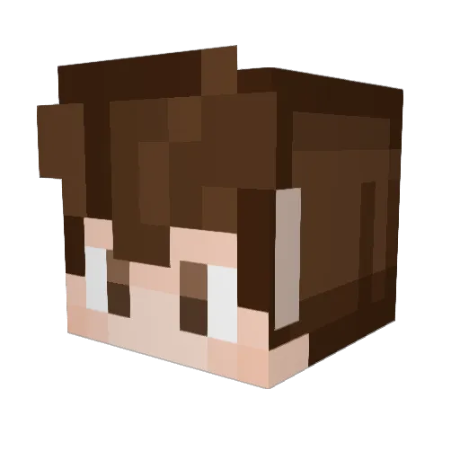 TellerOfStories Minecraft avatar head, 3D render