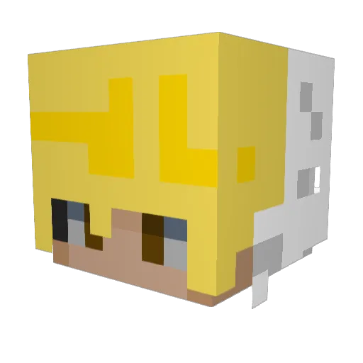 Telliamtions Minecraft avatar head, 3D render
