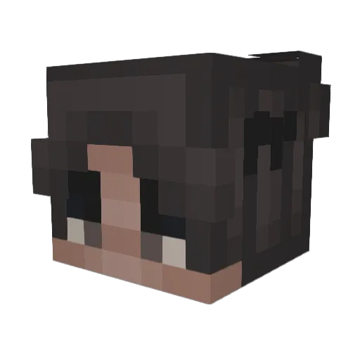 Tellus__ Minecraft avatar head, 3D render