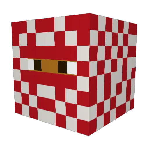 TellyTellz Minecraft avatar head, 3D render