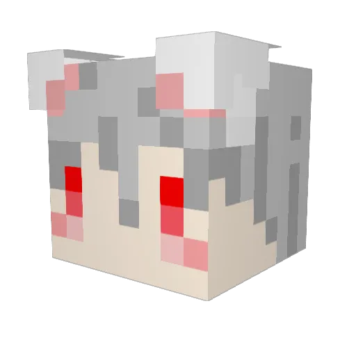 Telna0911 Minecraft avatar head, 3D render