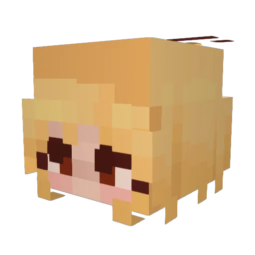 TelnaKali Minecraft avatar head, 3D render