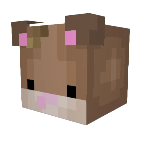 Telne Minecraft avatar head, 3D render