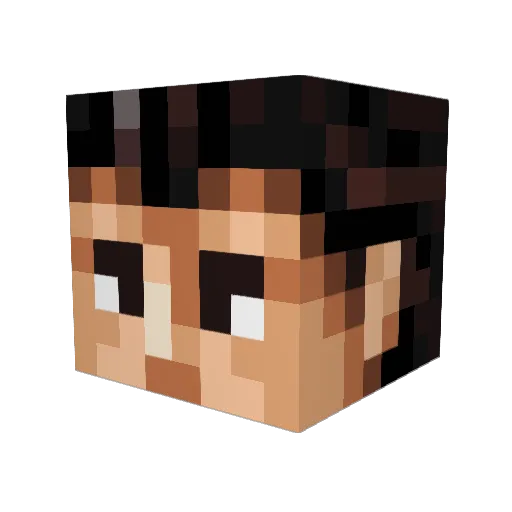 Telo9 Minecraft avatar head, 3D render