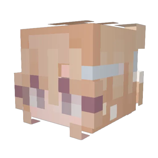 Telomerase319 Minecraft avatar head, 3D render
