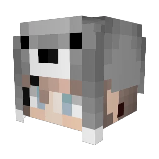 Telonisse Minecraft avatar head, 3D render