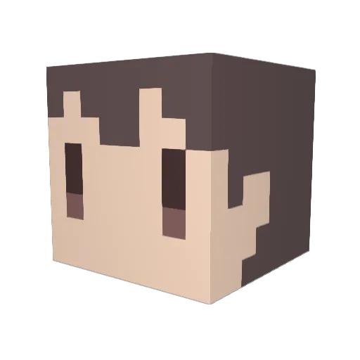 Teloo23 Minecraft avatar head, 3D render