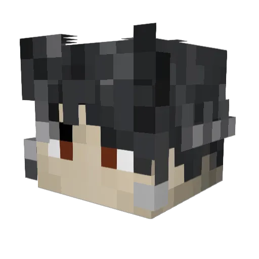 Tels_233 Minecraft avatar head, 3D render