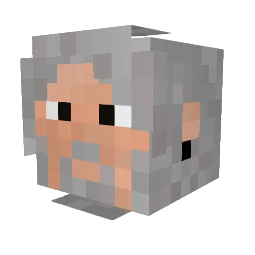 Teluon Minecraft avatar head, 3D render