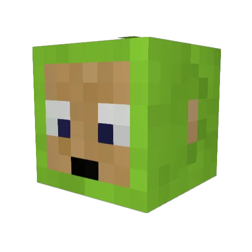TemPest62 Minecraft avatar head, 3D render