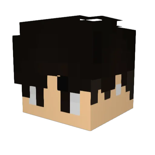 Temaninja12 Minecraft avatar head, 3D render