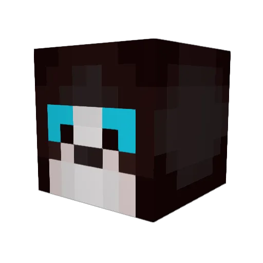 Temao Minecraft avatar head, 3D render