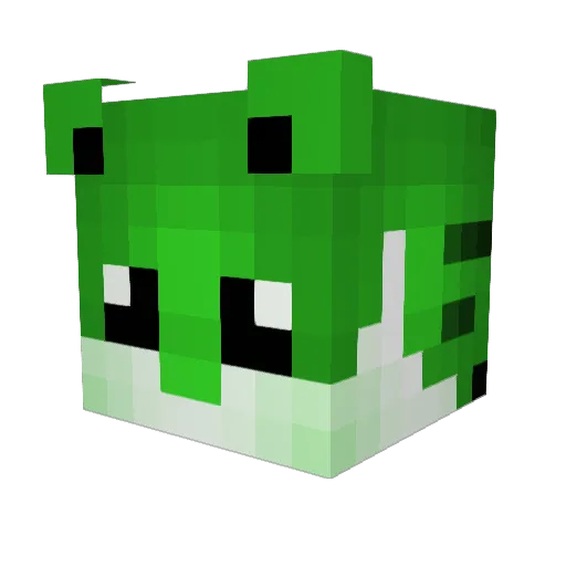 Tembo12 Minecraft avatar head, 3D render