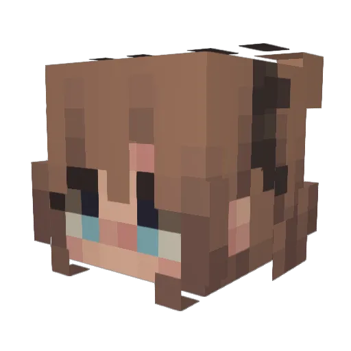 Temeraria Minecraft avatar head, 3D render