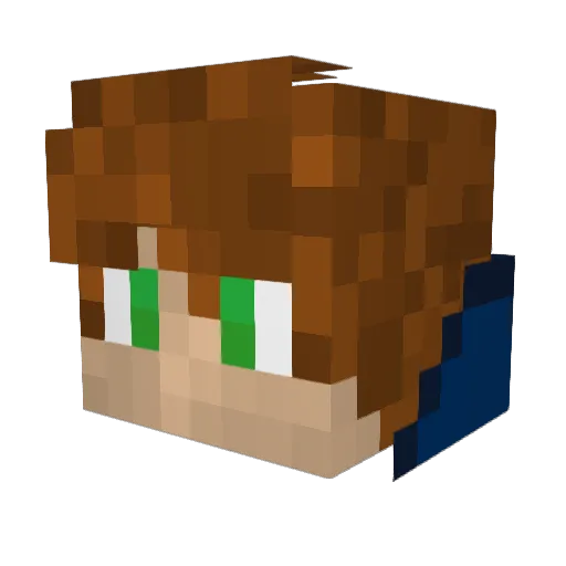 Temik1551 Minecraft avatar head, 3D render