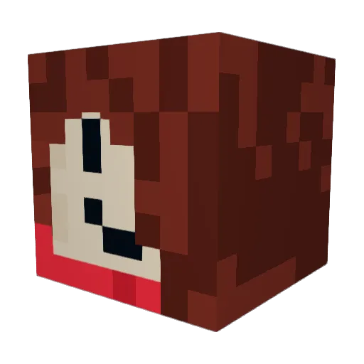 TemmieTheGod Minecraft avatar head, 3D render