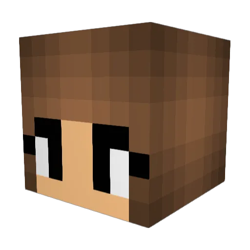 TemmieTheTemTem Minecraft avatar head, 3D render