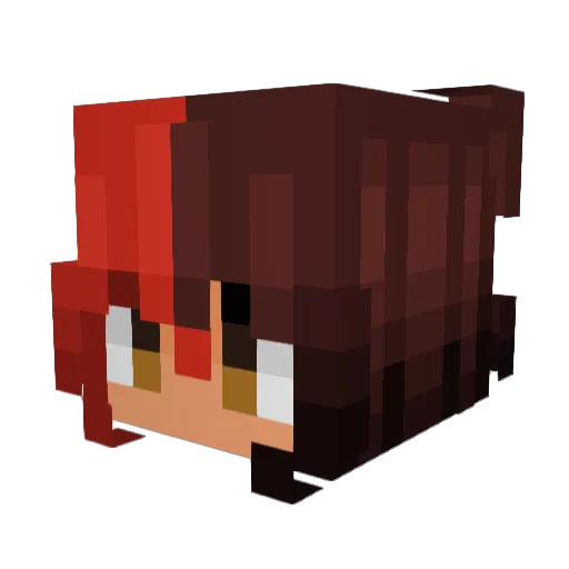 Temmiesaurus_R Minecraft avatar head, 3D render