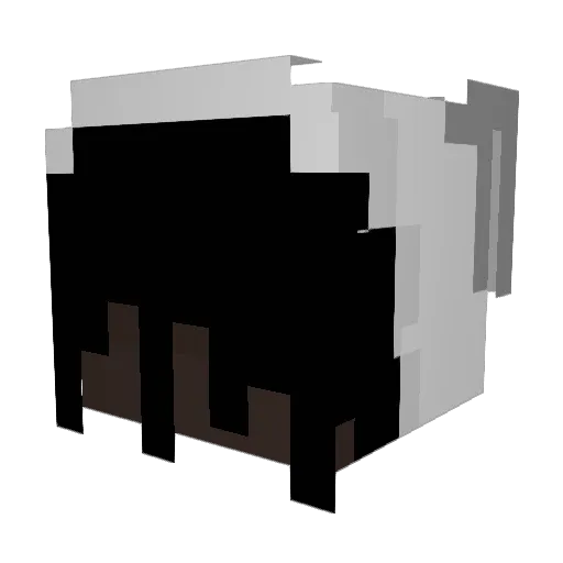 Temmpestt Minecraft avatar head, 3D render