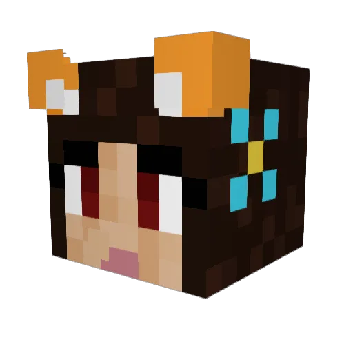 Temmy652 Minecraft avatar head, 3D render