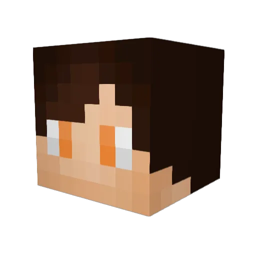 TempBanning Minecraft avatar head, 3D render