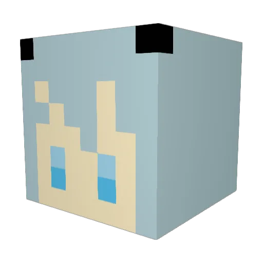 Tempa459 Minecraft avatar head, 3D render