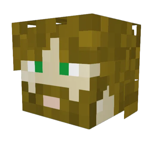TemperWemper Minecraft avatar head, 3D render