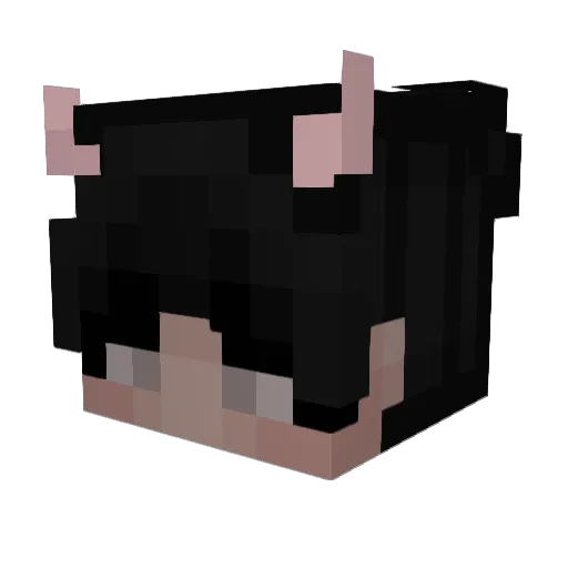Tempest_1513 Minecraft avatar head, 3D render