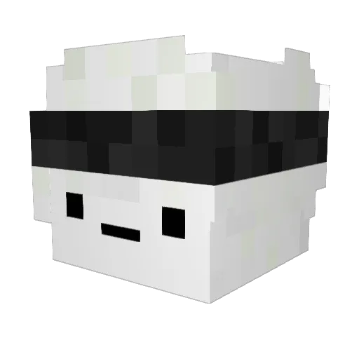 Tempest_2005 Minecraft avatar head, 3D render