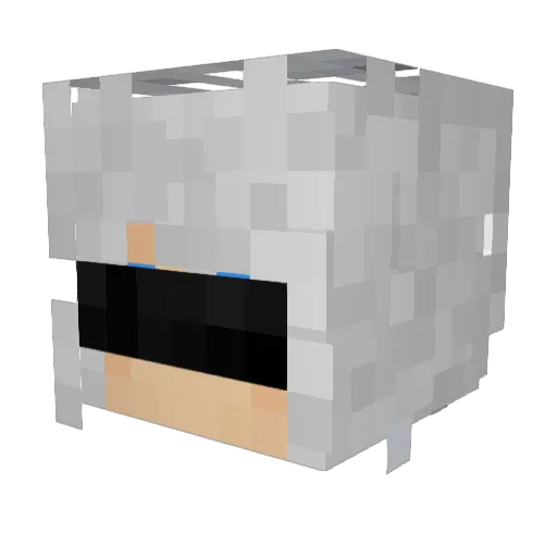 Tempih Minecraft avatar head, 3D render