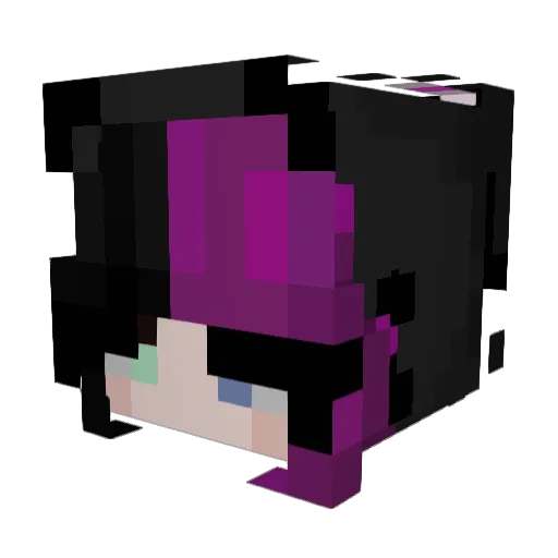 TemplarKnight__ Minecraft avatar head, 3D render