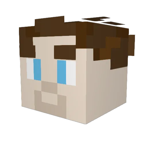 TemplarNight479 Minecraft avatar head, 3D render