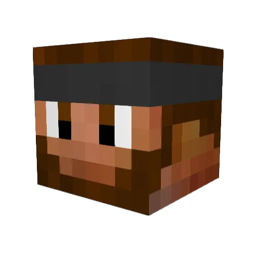 Temple_Explorer Minecraft avatar head, 3D render