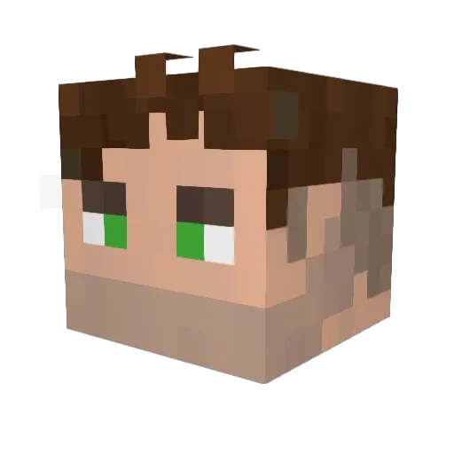 Tempo_Delta Minecraft avatar head, 3D render