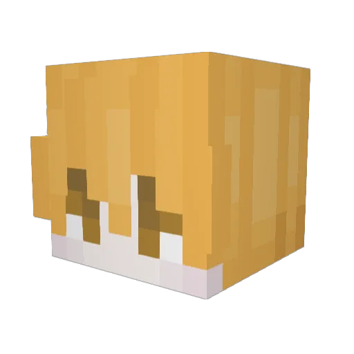 TemporalBowl194 Minecraft avatar head, 3D render