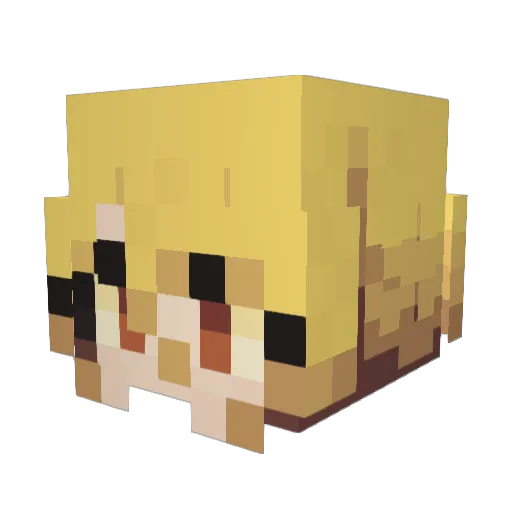 Temporiscool Minecraft avatar head, 3D render