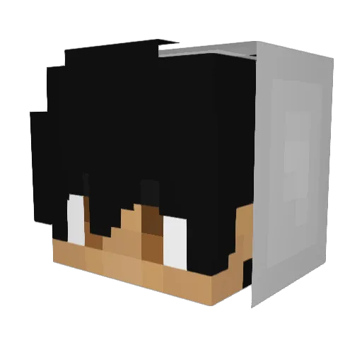 Tempty_ Minecraft avatar head, 3D render