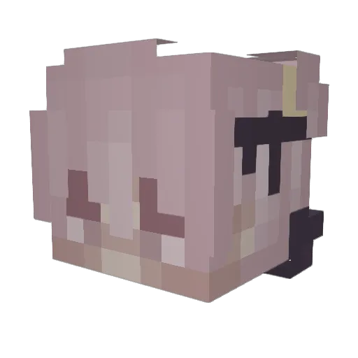 Tempurs Minecraft avatar head, 3D render
