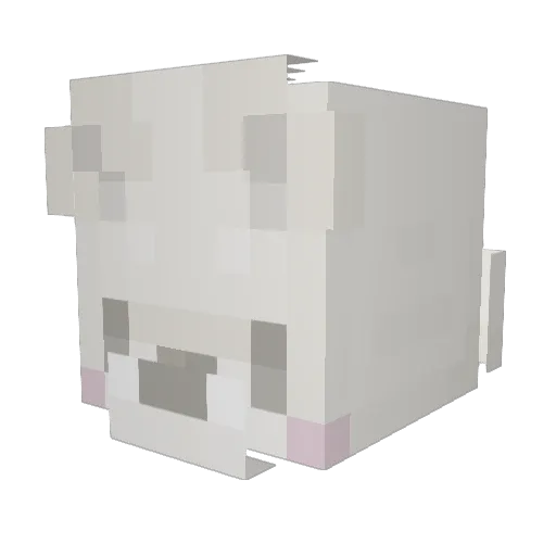 Temwara Minecraft avatar head, 3D render