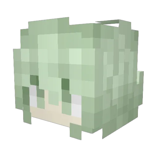 Ten5h1 Minecraft avatar head, 3D render