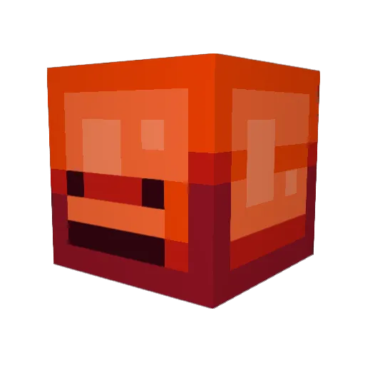 TenGallonWiener Minecraft avatar head, 3D render