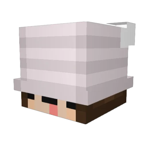 TenSmradlavej Minecraft avatar head, 3D render
